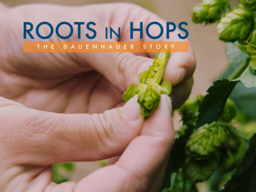 Roots in Hops